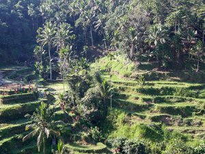 Villages and Countryside