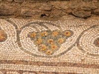 Plovdiv-7