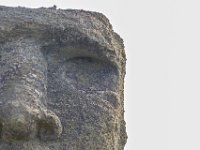 IMG_9040-Enhanced-NR