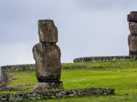 IMG_9088-Enhanced-NR