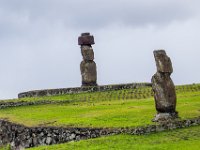 IMG_9106-Enhanced-NR