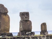 IMG_9120-Enhanced-NR