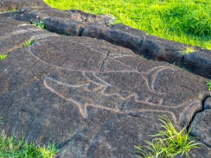 Anakena and Petroglyphs