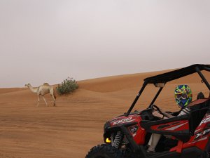 Dune Buggies
