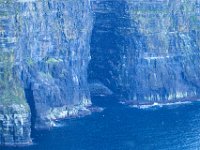 IMG_7566
