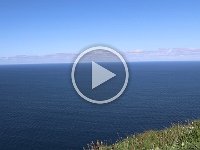 MVI_7624