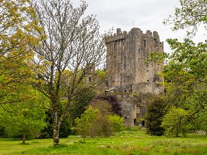 Cork and Blarney