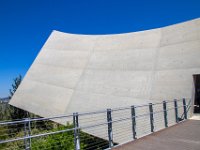 IMG_7108-Enhanced-NR