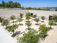 IMG_7116-Enhanced-NR