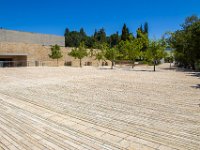 IMG_7125-Enhanced-NR