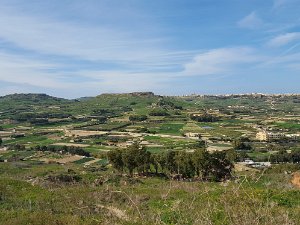 Gozo Island
