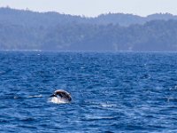IMG_7938