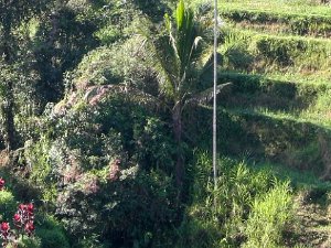 Villages and Countryside